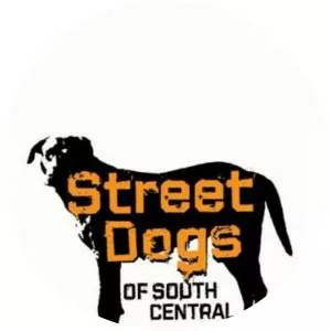 Street Dogs of South CentralSince 2012 - TV program