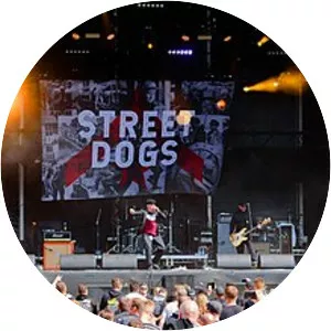 Street Dogs