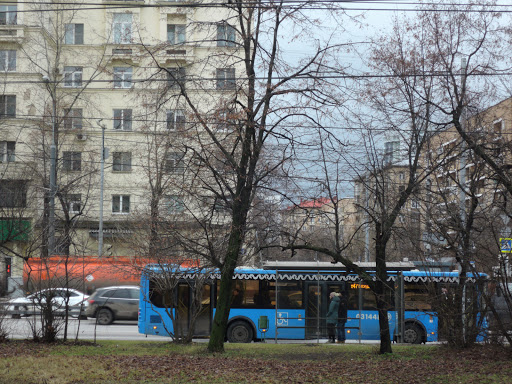 Street Vsevolod Vishnevsky