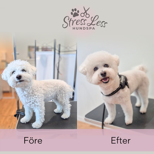 Stress Less Hundspa - Hairdresser in Orebro, Sweden