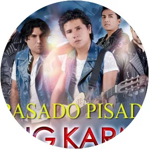 String Karma - Musical artist