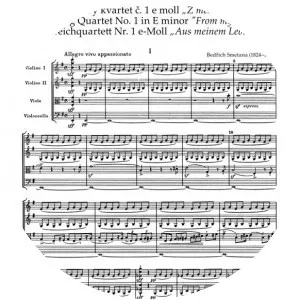 String Quartet No. 1 photograph