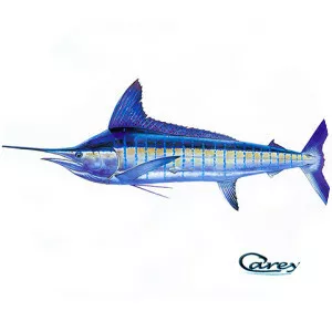 Striped marlin