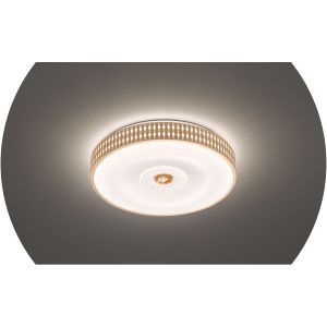 Stropnice - River in the Czech Republic