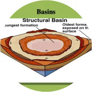 Structural basin - 