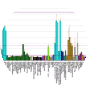 structural maintenance of chromosomes 3