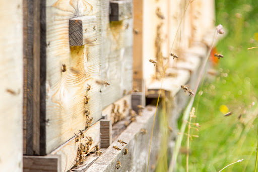 Stubai's Bio-Biene - Honey farm in Neustift im Stubaital, Austria