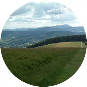 Stübenwasen