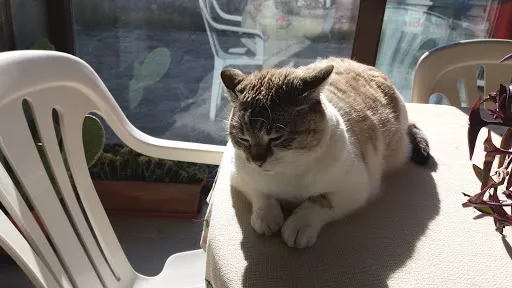 Studio Di Architettura Associato Ruffino-Musso - 