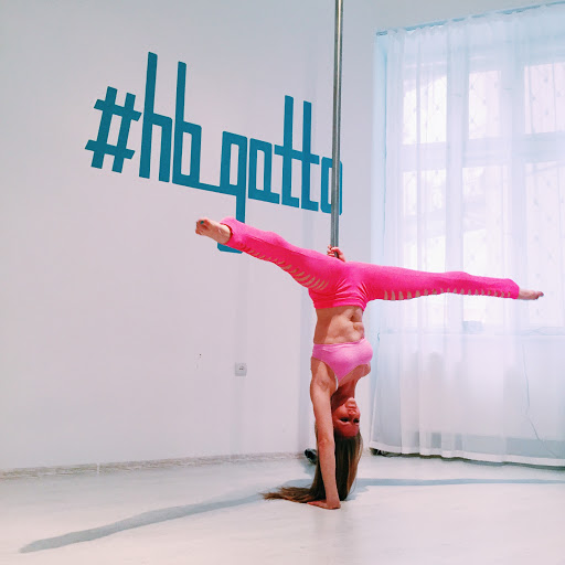 Studio Gatto. Pole Dance - Dance school in Lviv, Ukraine
