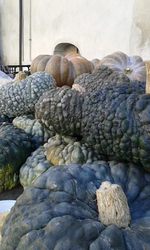 Studio Tecnico Bragato Geom. Luca - 