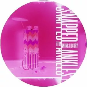 Stunning Luxury - Studio album by Snapped Ankles