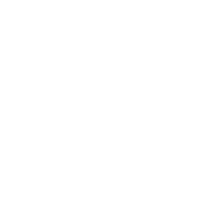 Stunt Science - TV program