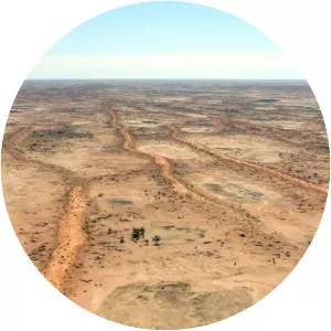 Sturt Stony Desert - 