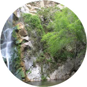 Sturtevant Falls