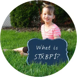 STXBP1 - Protein