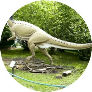 styrassic park dinopark kołacinek