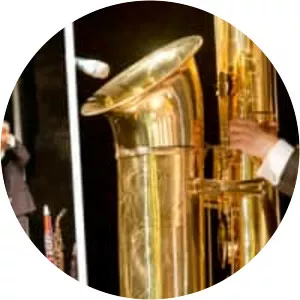 Subcontrabass saxophone