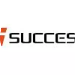 Success - Video game developer