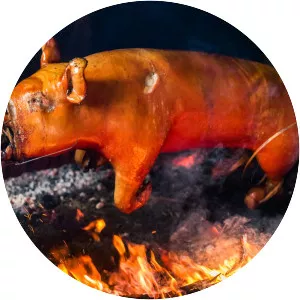 Suckling pig photograph