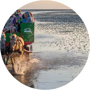 Südfall - Island in Pellworm, Germany