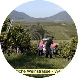 Südliche Weinstraße