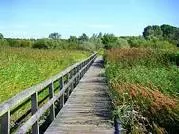 Südlicher Priwall - 