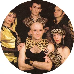 Sue et les salamandres - Musical band