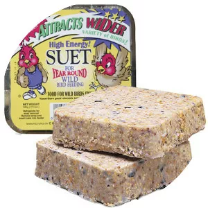 Suet - 