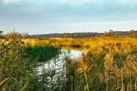 Suffolk Wildlife Trust - 