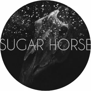 Sugar Horse