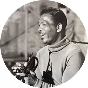 Sugar Ray Robinson - American professional boxer