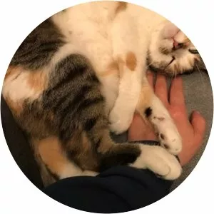 Süheyla Demirel Tezcan photograph