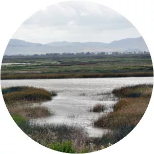 Suisun Marsh - 
