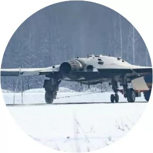 Sukhoi S-70 Okhotnik - Aircraft model