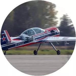 Sukhoi Su-29 - Aircraft model