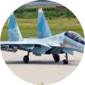 Sukhoi Su-30 photograph