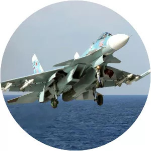 Sukhoi Su-33 - Aircraft model