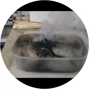 Sulfur trioxide - Chemical compound