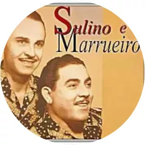Sulino e Marrueiro