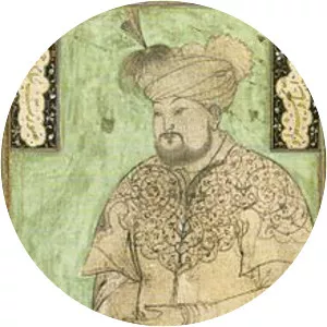 Sultan Husayn Bayqara - Ruler
