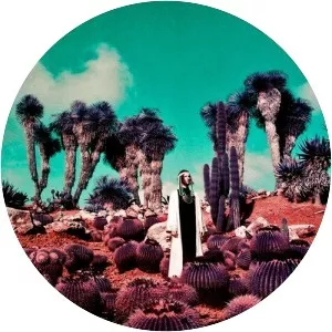 SULTAN SHAKES - Musical artist