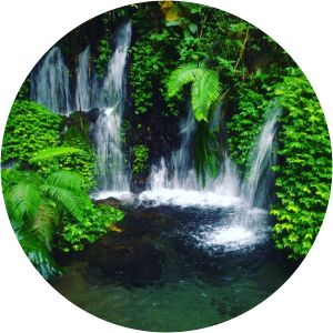 Sumber Pitu Waterfall - 