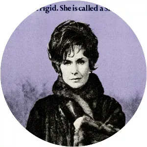 Summer Wishes, Winter Dreams