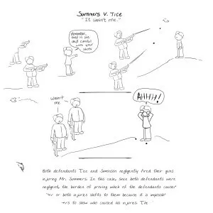 Summers v. Tice - Court case