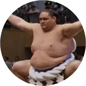 Sumo