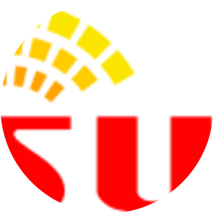Sun Cellular - Telecommunications company