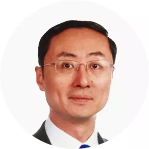 Sun Weidong - Diplomat