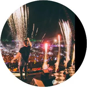 Sunburn Festival - Music Festival