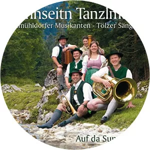 Sunnseitn Tanzlmusi - Musical artist